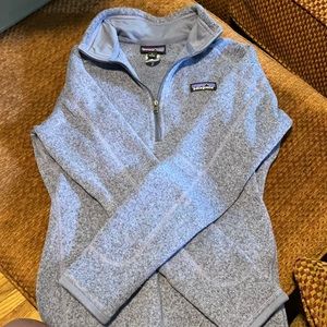 Small purple Patagonia